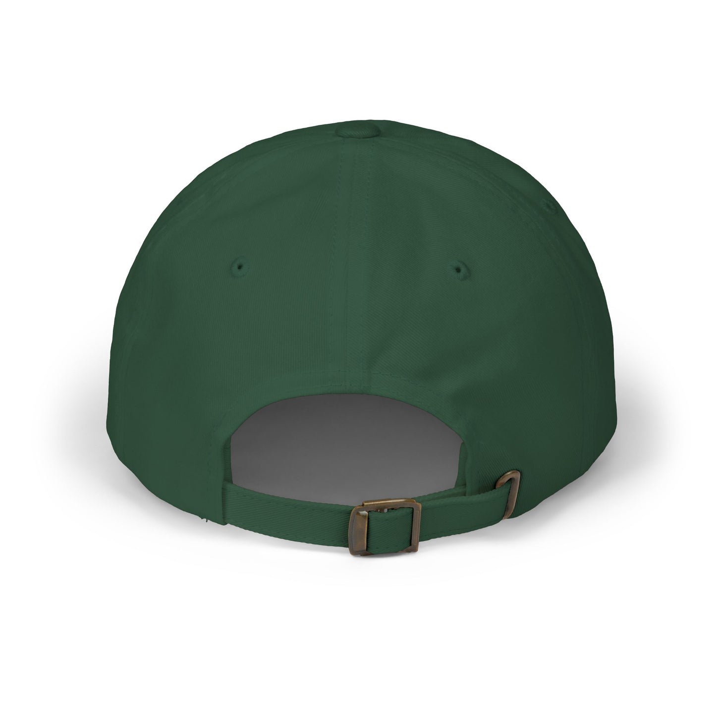 Jesus Came to Save the World hat
